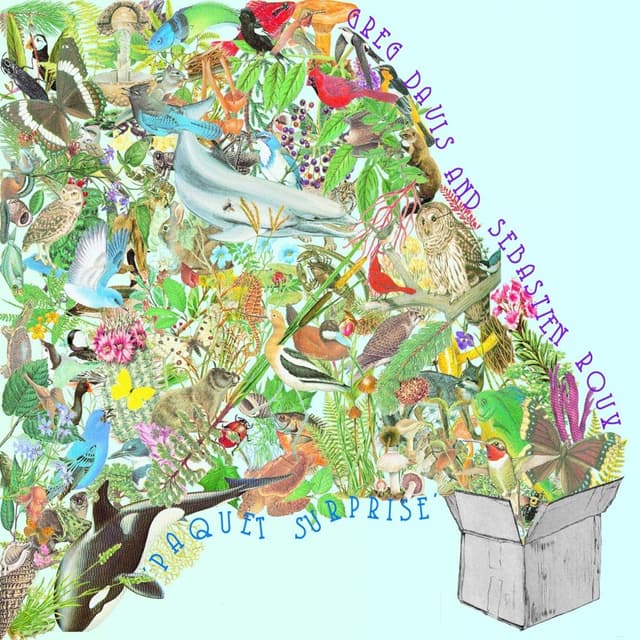 Album cover art for Paquet Surprise