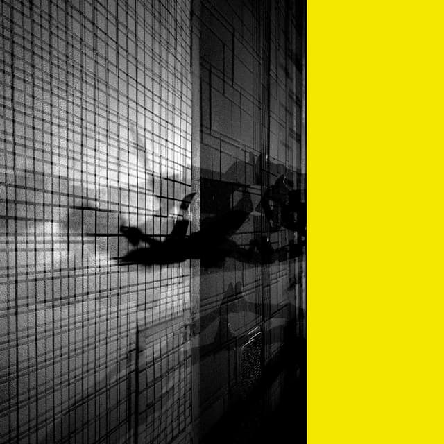 Album cover art for everything