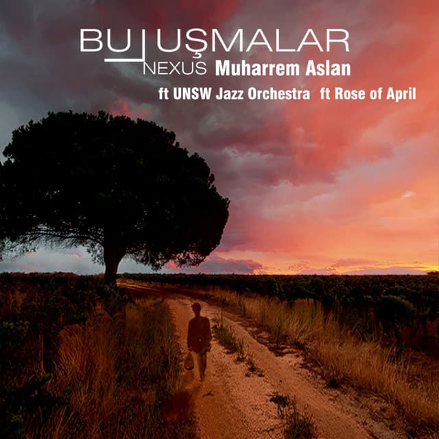 Album cover art for Buluşmalar