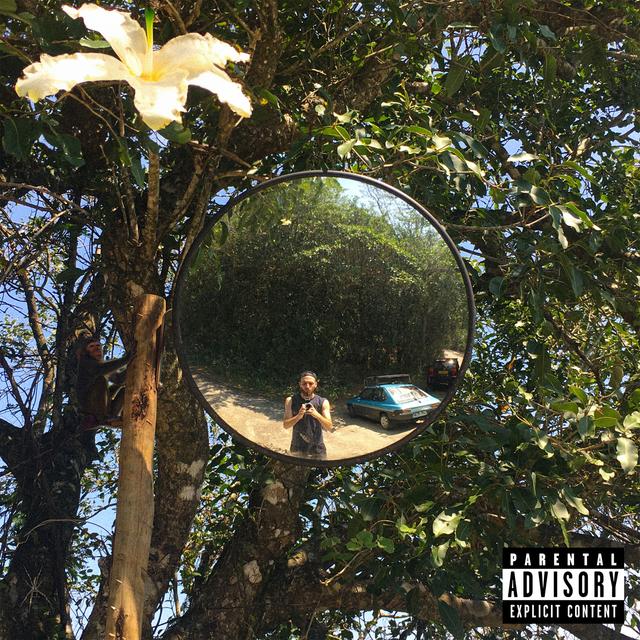 Album cover art for Joue le jeu