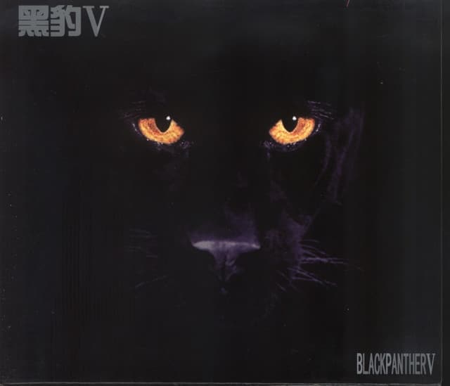 Album cover art for 黑豹V