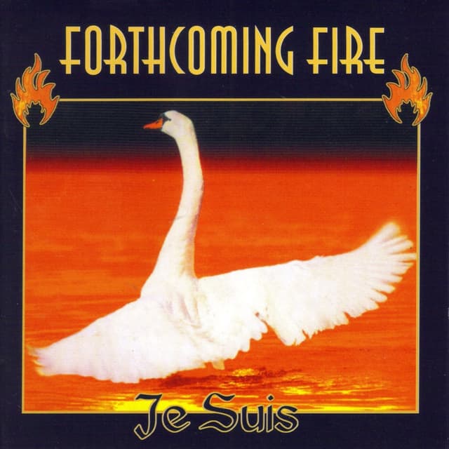 Album cover art for Je Suis