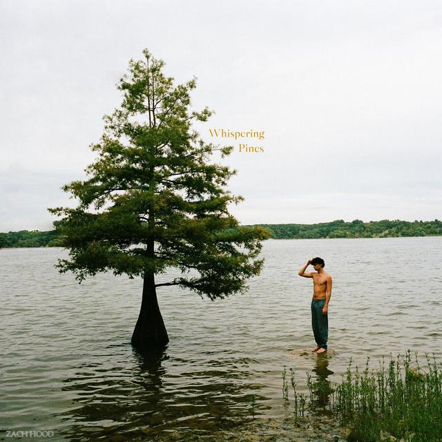 Album cover art for Whispering Pines