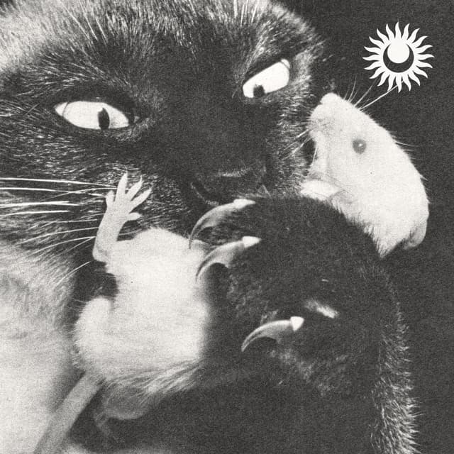 Album cover art for Monsters