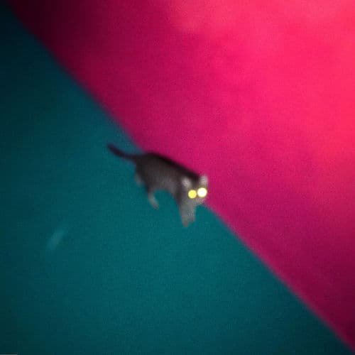 Album cover art for Wallop