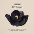 Album cover art for Sort Tulipan