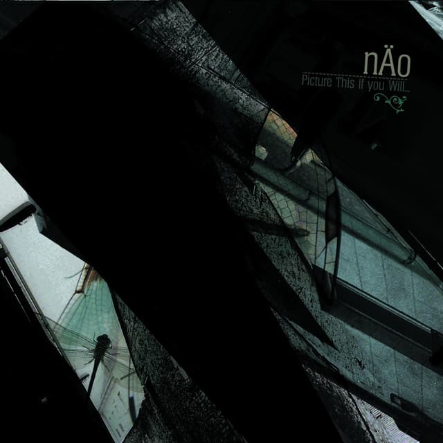 Album cover art for Picture This If You Will…