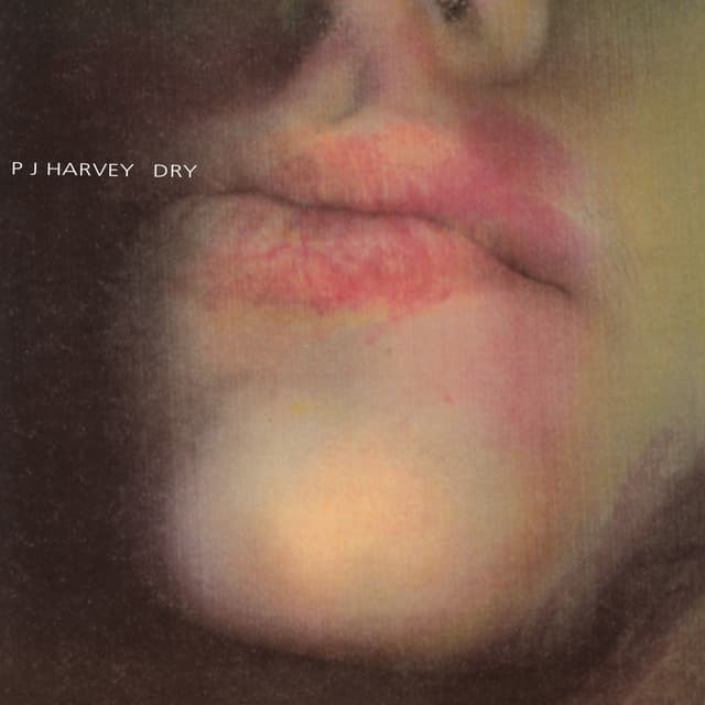 Album cover art for Dry