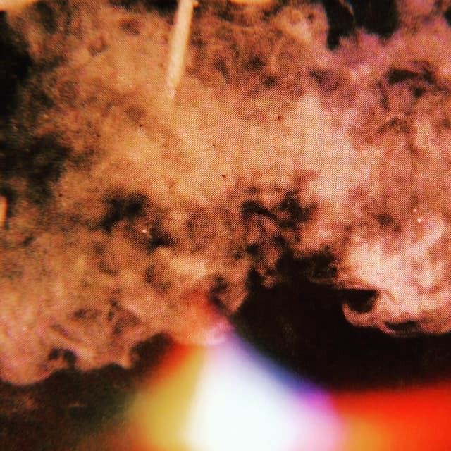 Album cover art for LandoLasso