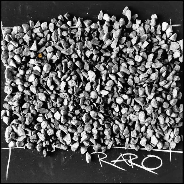 Album cover art for RARO