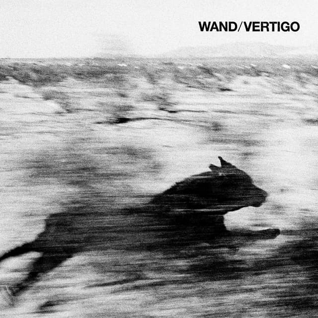 Album cover art for Vertigo