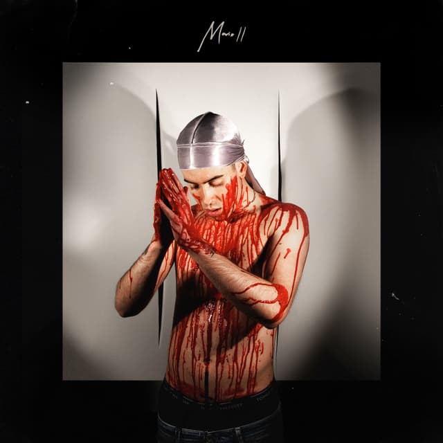 Album cover art for Mario II