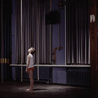 Album cover art for Branches