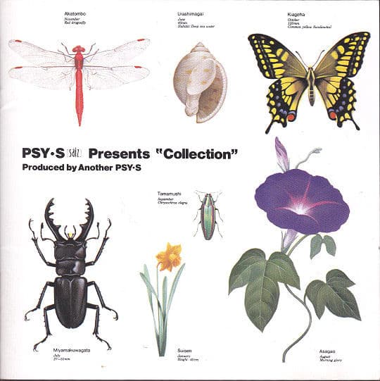 Album cover art for Collection