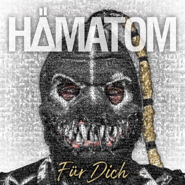 Album cover art for Für Dich