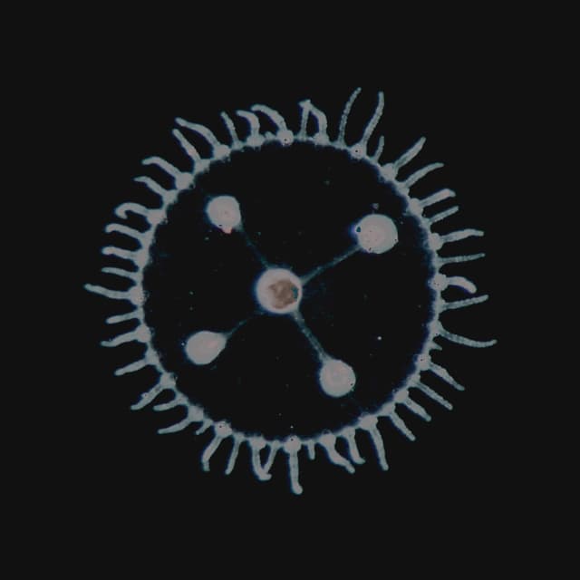 Album cover art for Um Mar Pra Cada Um,