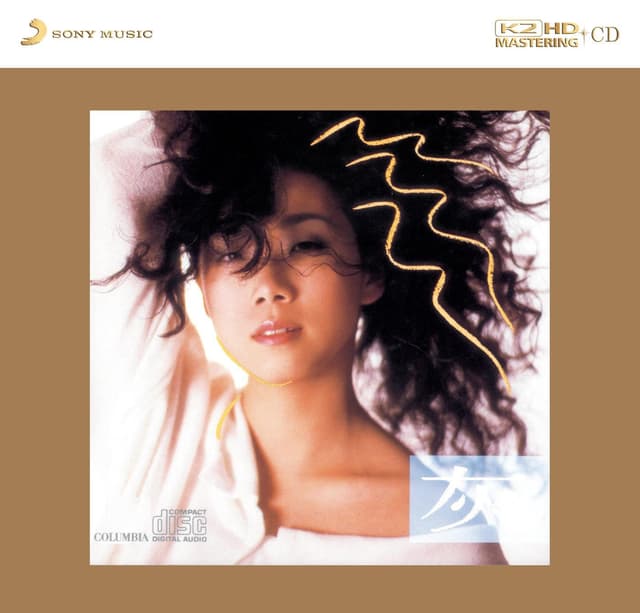 Album cover art for 灰色