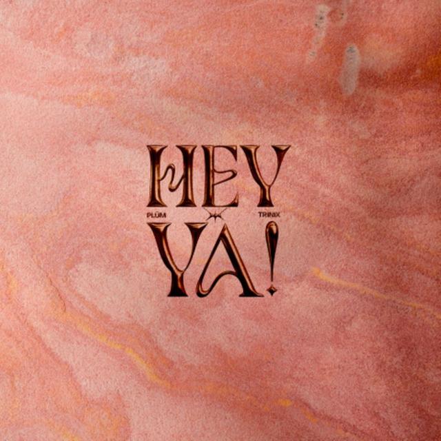 Album cover art for Hey Ya!