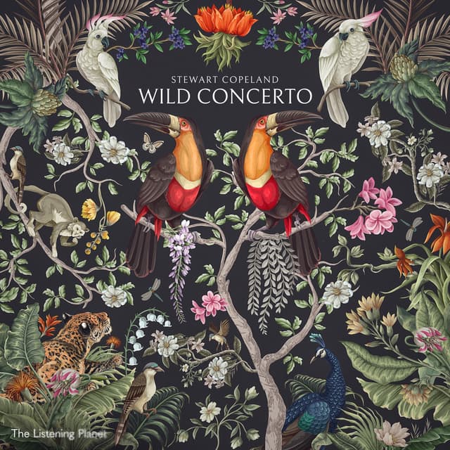 Album cover art for Stewart Copeland: Wild Concerto
