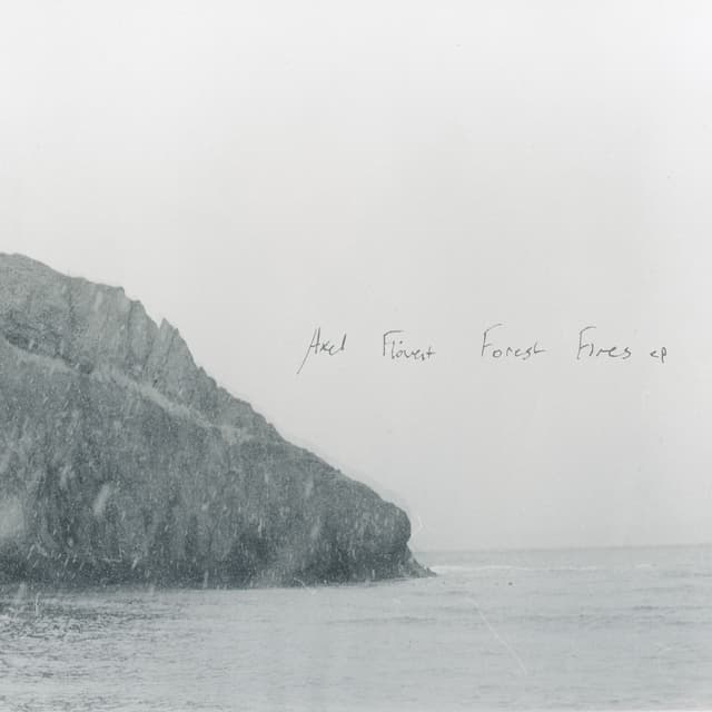 Album cover art for Forest Fires