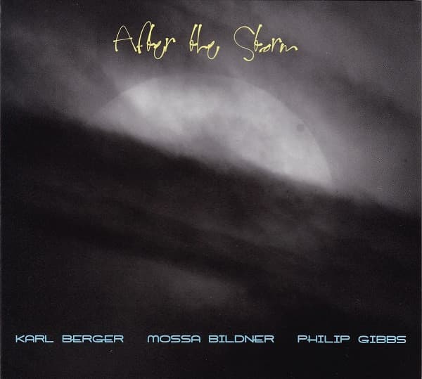 Album cover art for After the Storm