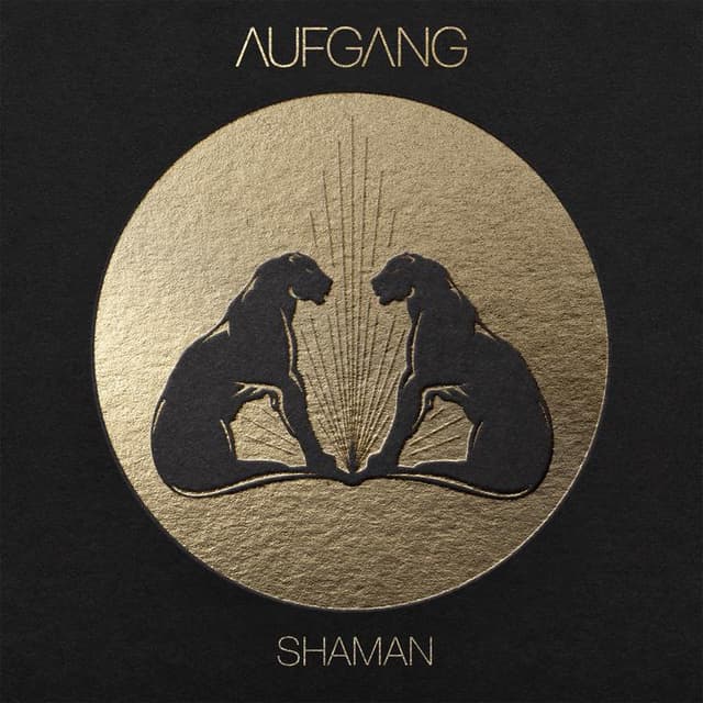 Album cover art for Shaman