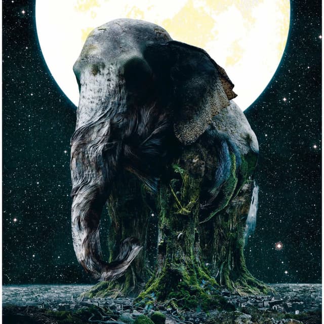 Album cover art for ASCENSION