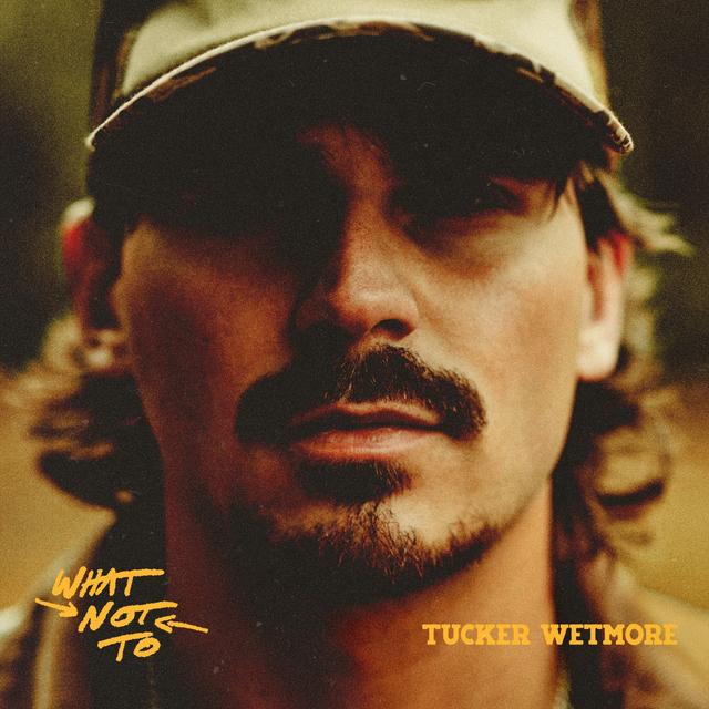 Album cover art for What Not To