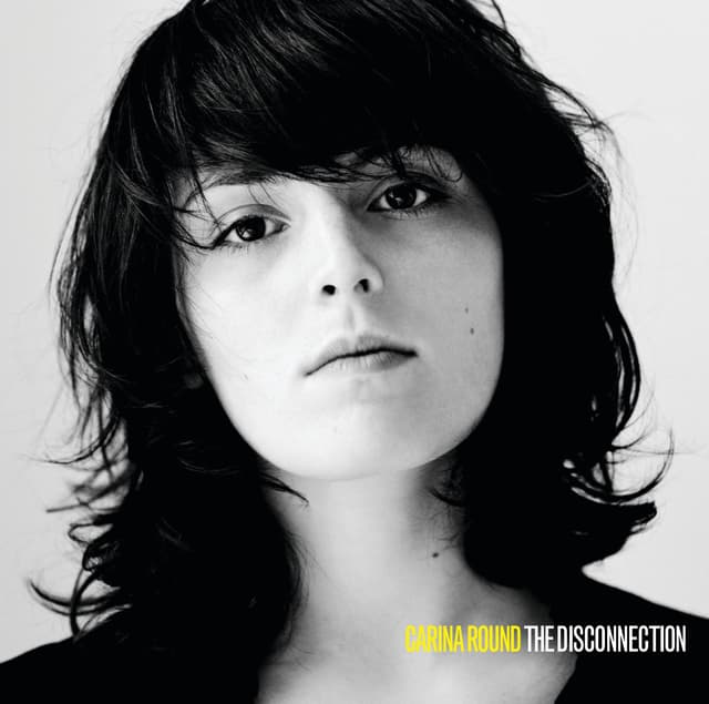 Album cover art for The Disconnection