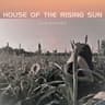 House of the Rising Sun (Unplugged)