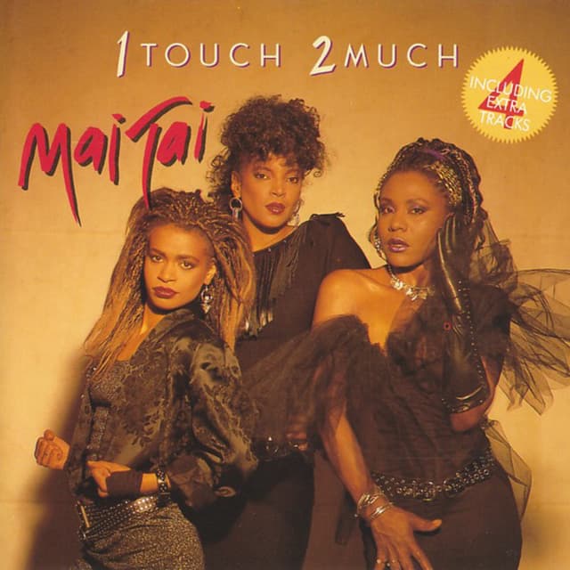 Album cover art for 1 Touch 2 Much