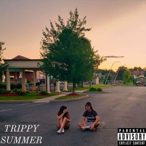 Album cover art for Trippy Summer