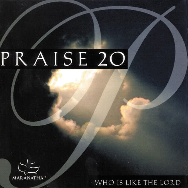 Album cover art for Praise 20 - Who Is Like The Lord