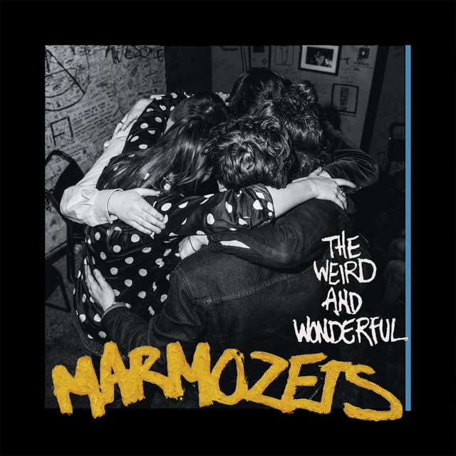 Album cover art for Weird & Wonderful Marmozets