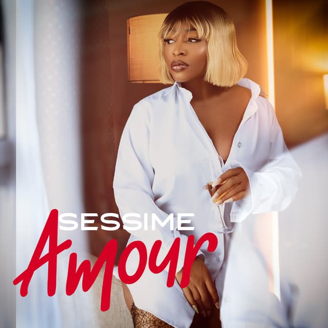 Album cover art for Amour