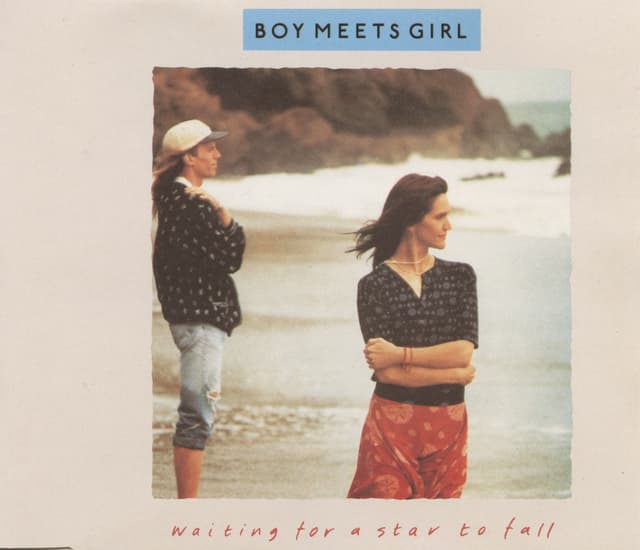 Album cover art for Waiting for a Star to Fall