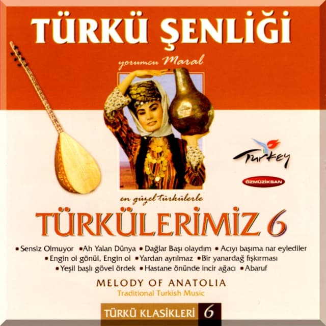 Album cover art for Türkü Şenliği - Türkülerimiz, Vol. 6