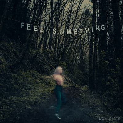 Album cover art for Feel Something