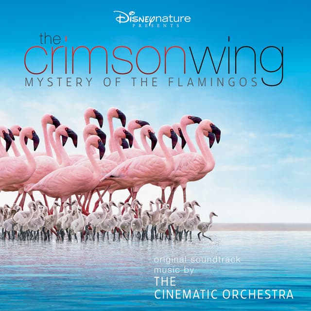 Album cover art for The Crimson Wing: Mystery of the Flamingos