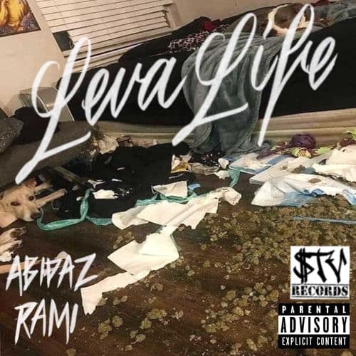 Album cover art for Leva Life