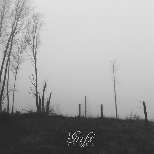Album cover art for Syner