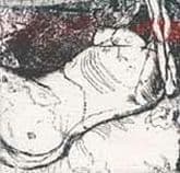 Album cover art for The Whys and Hows of Herman Düne and Cerberus Shoal