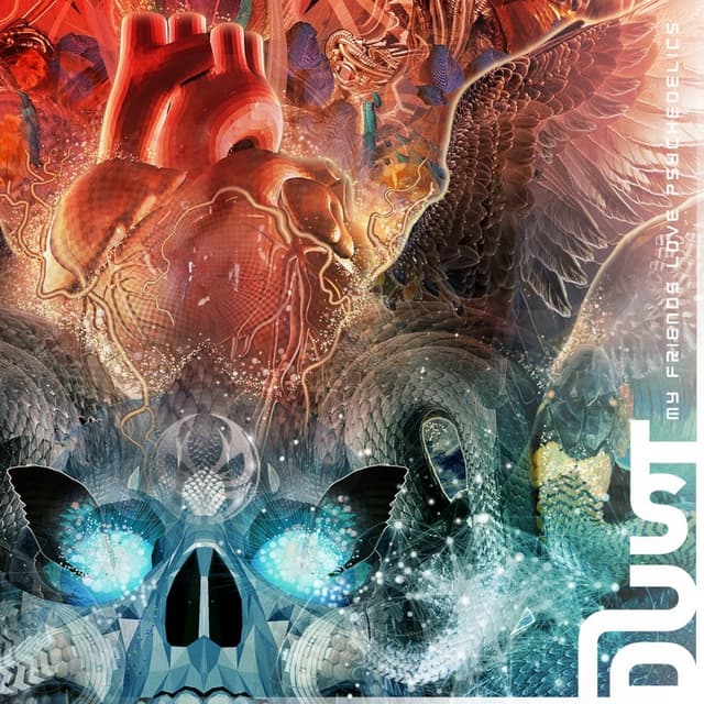 Album cover art for My Friends Love Psychedelics