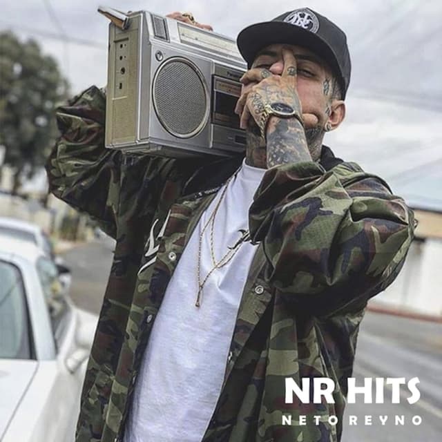Album cover art for Nr Hits