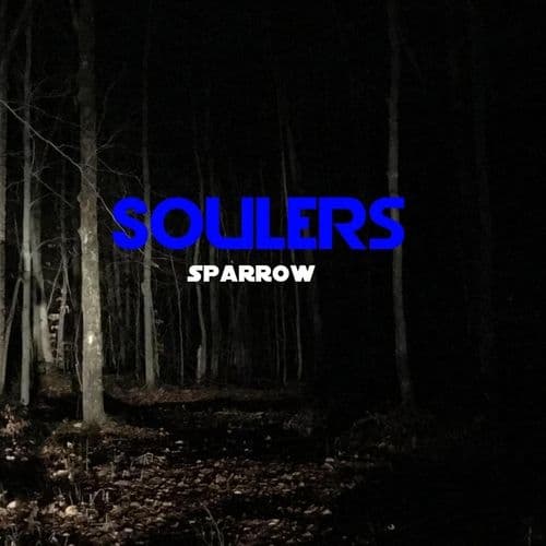 Album cover art for Sparrow