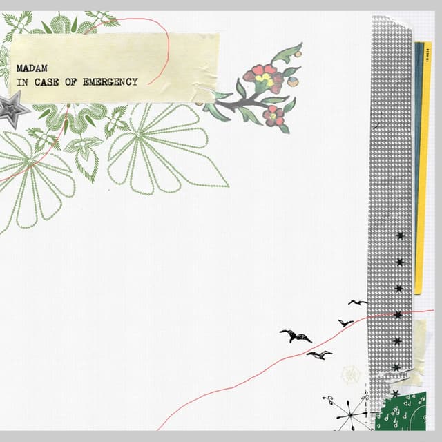 Album cover art for In Case of Emergency