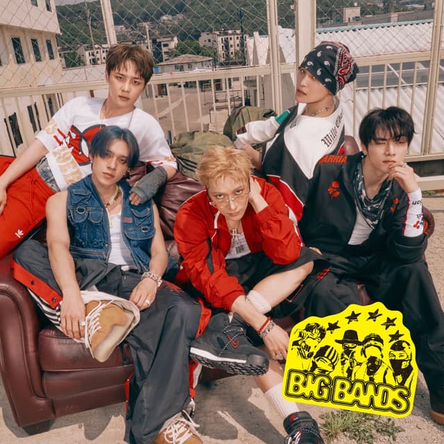 Album cover art for BIG BANDS