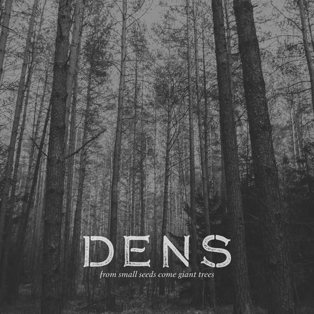 Album cover art for From Small Seeds Come Giant Trees