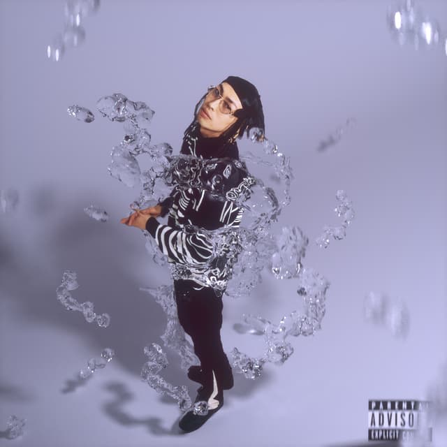 Album cover art for SHIBUKI