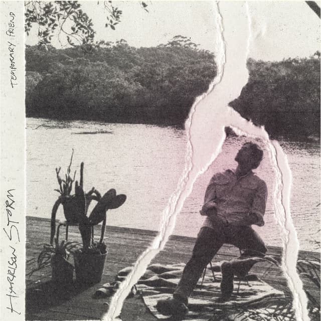 Album cover art for Temporary Friend